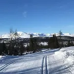 Timber With Views Over Golsfjellet Gol