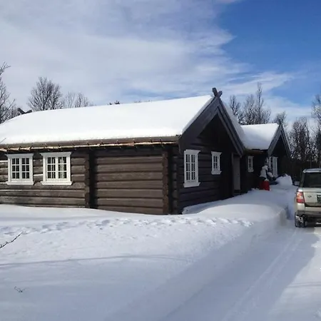 Timber With Views Over Golsfjellet *