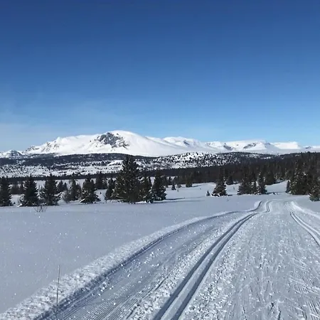 Timber With Views Over Golsfjellet *