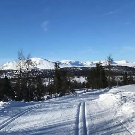 Timber With Views Over Golsfjellet Gol