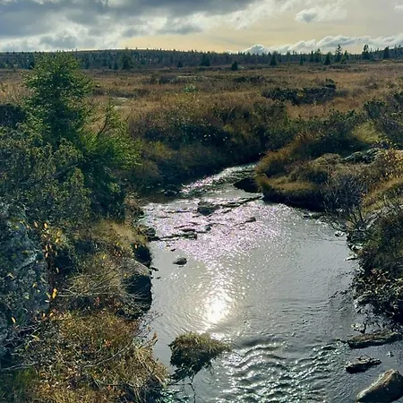 Timber With Views Over Golsfjellet *