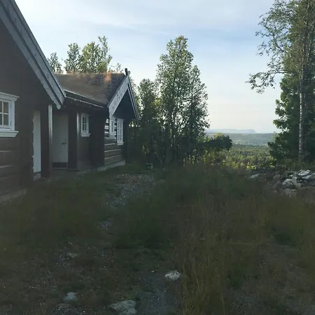 Timber With Views Over Golsfjellet *