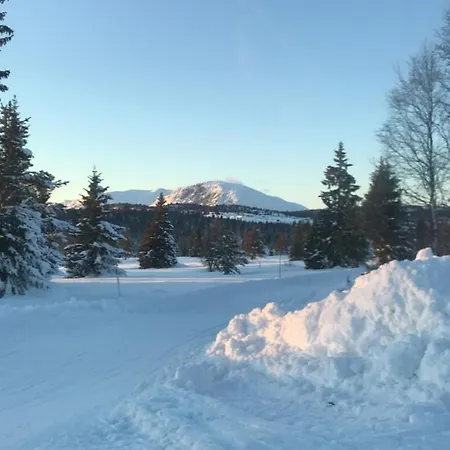 Semesterbostad Timber With Views Over Golsfjellet