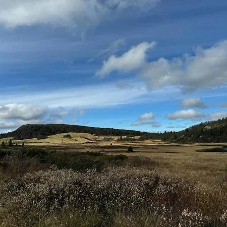 Timber With Views Over Golsfjellet Ferienhaus