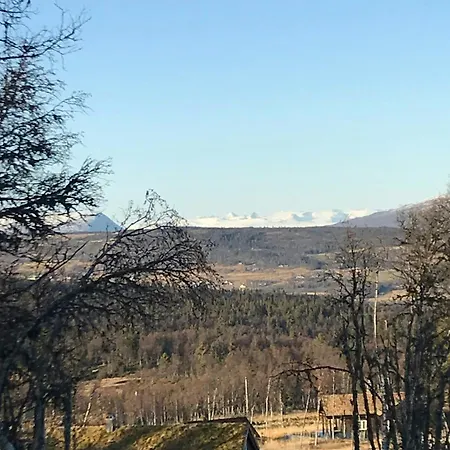 Feriehus Timber With Views Over Golsfjellet Gol