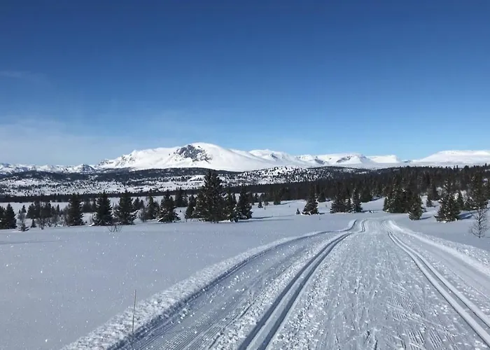 Timber With Views Over Golsfjellet *