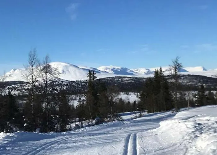 Timber With Views Over Golsfjellet Gol