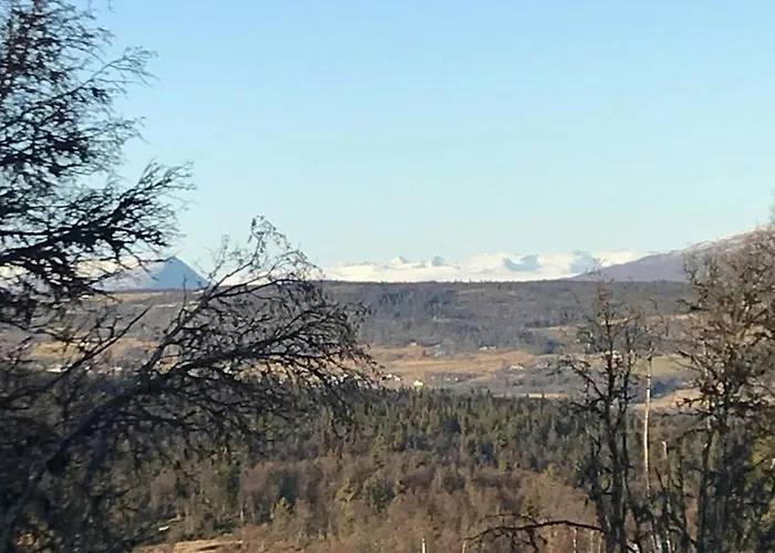Feriehus Timber With Views Over Golsfjellet Gol