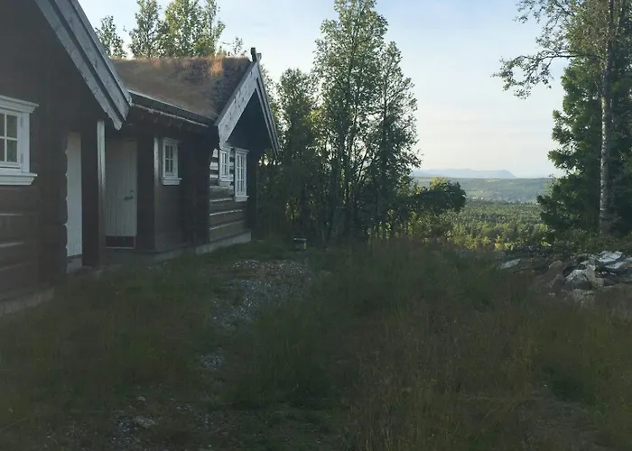 Timber With Views Over Golsfjellet *