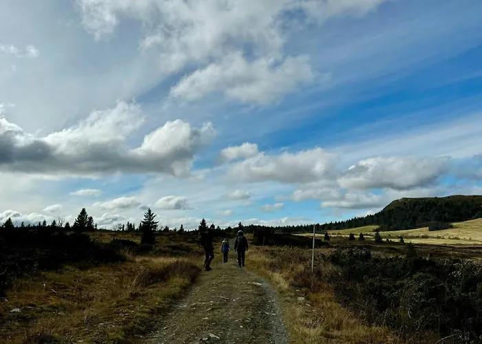 Feriehus Timber With Views Over Golsfjellet