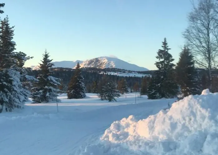 Feriehus Timber With Views Over Golsfjellet